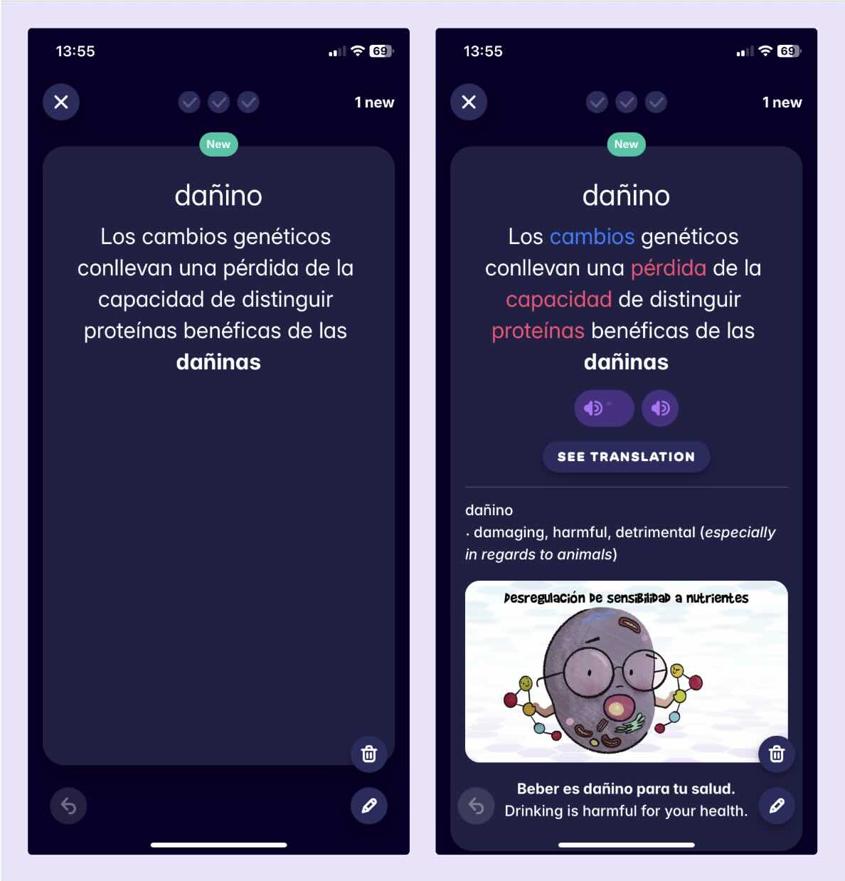 A screenshot showing the flashcard Migaku generated from a YouTube video