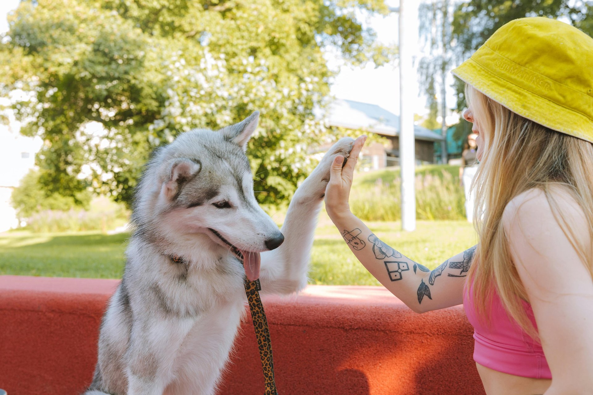 A woman and her dog exchanging high fives, a non-verbal way to say 'that's right' in English