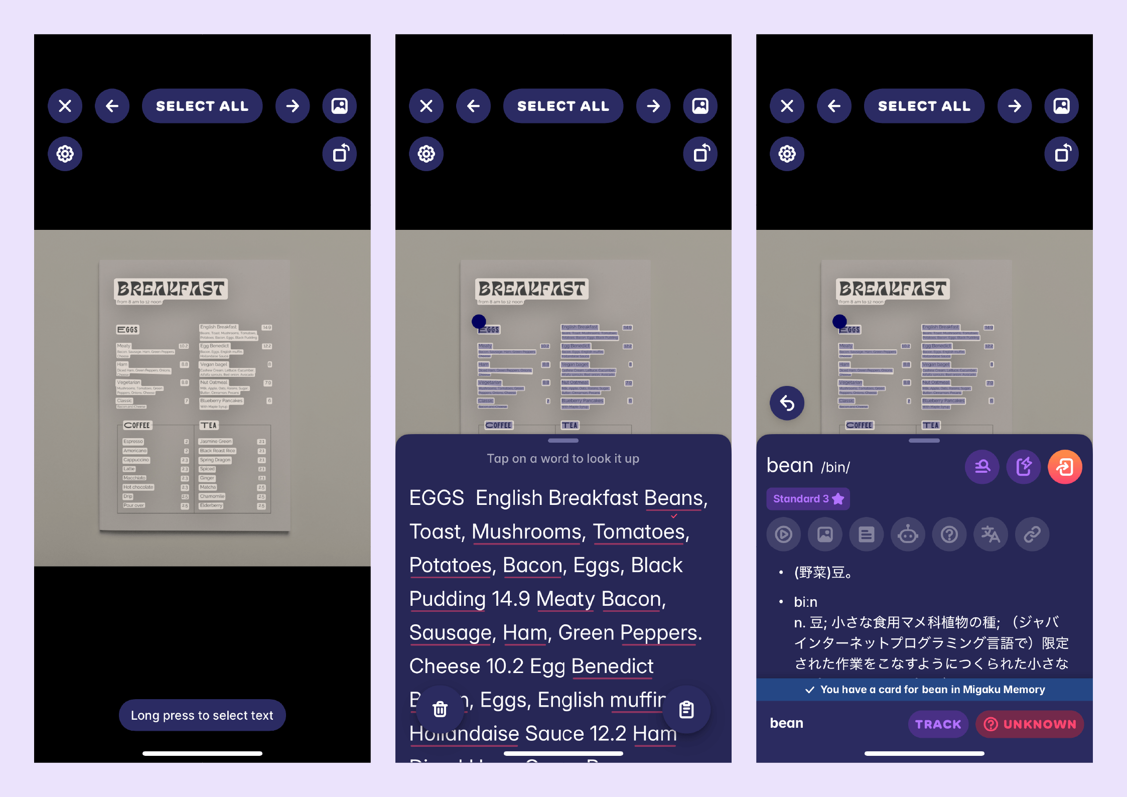 A screenshot demonstrating Migaku's OCR feature, which you can use to translate the English menu at your hotel!