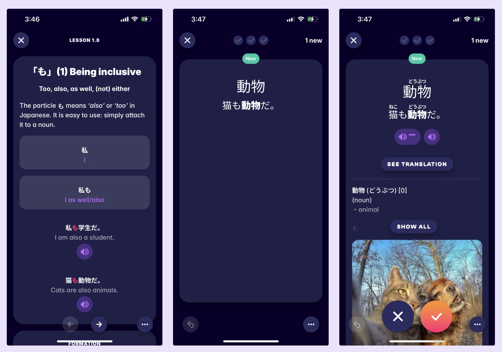 A screenshot from Migaku's Japanese course, showing how we help users learn Japanese vocabulary and grammar