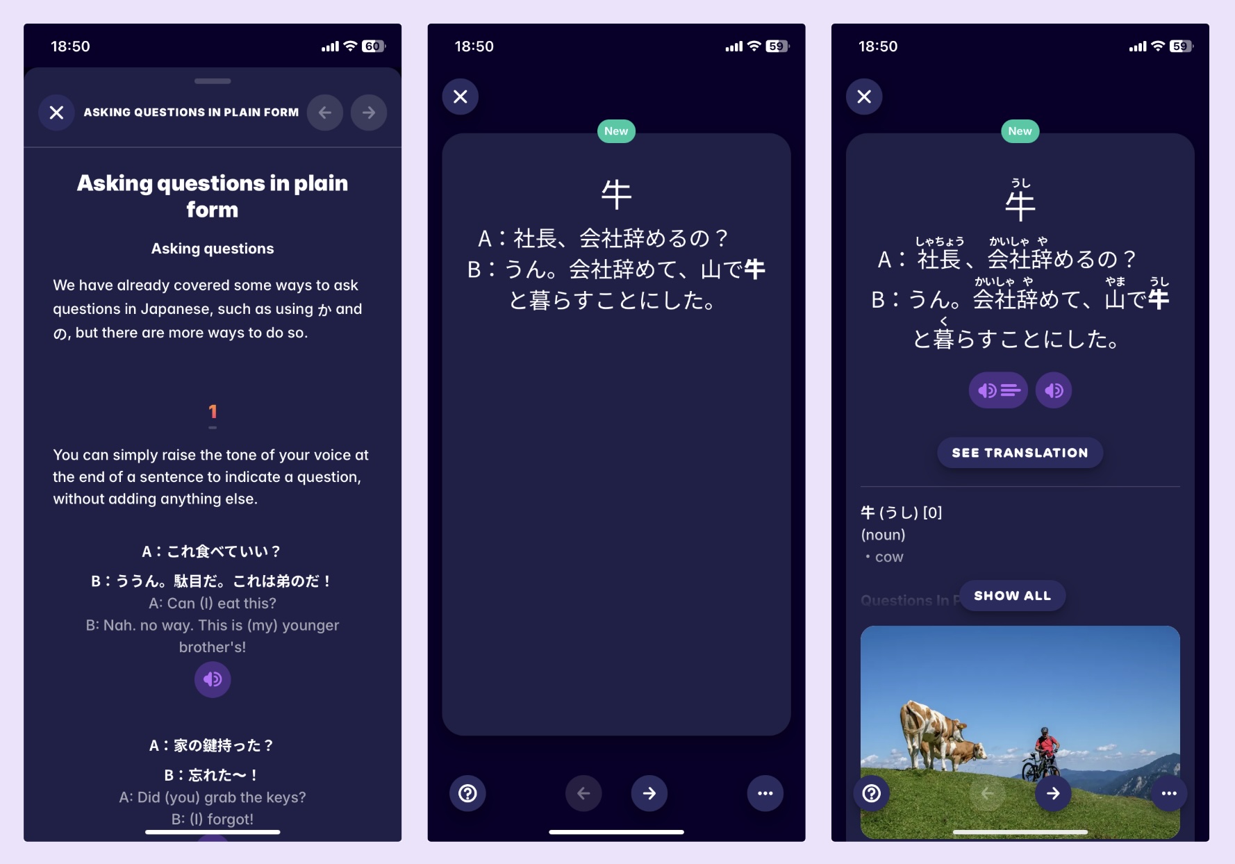 A screenshot from Migaku's Japanese course, showing how we teach Japanese vocabulary and Japanese grammar