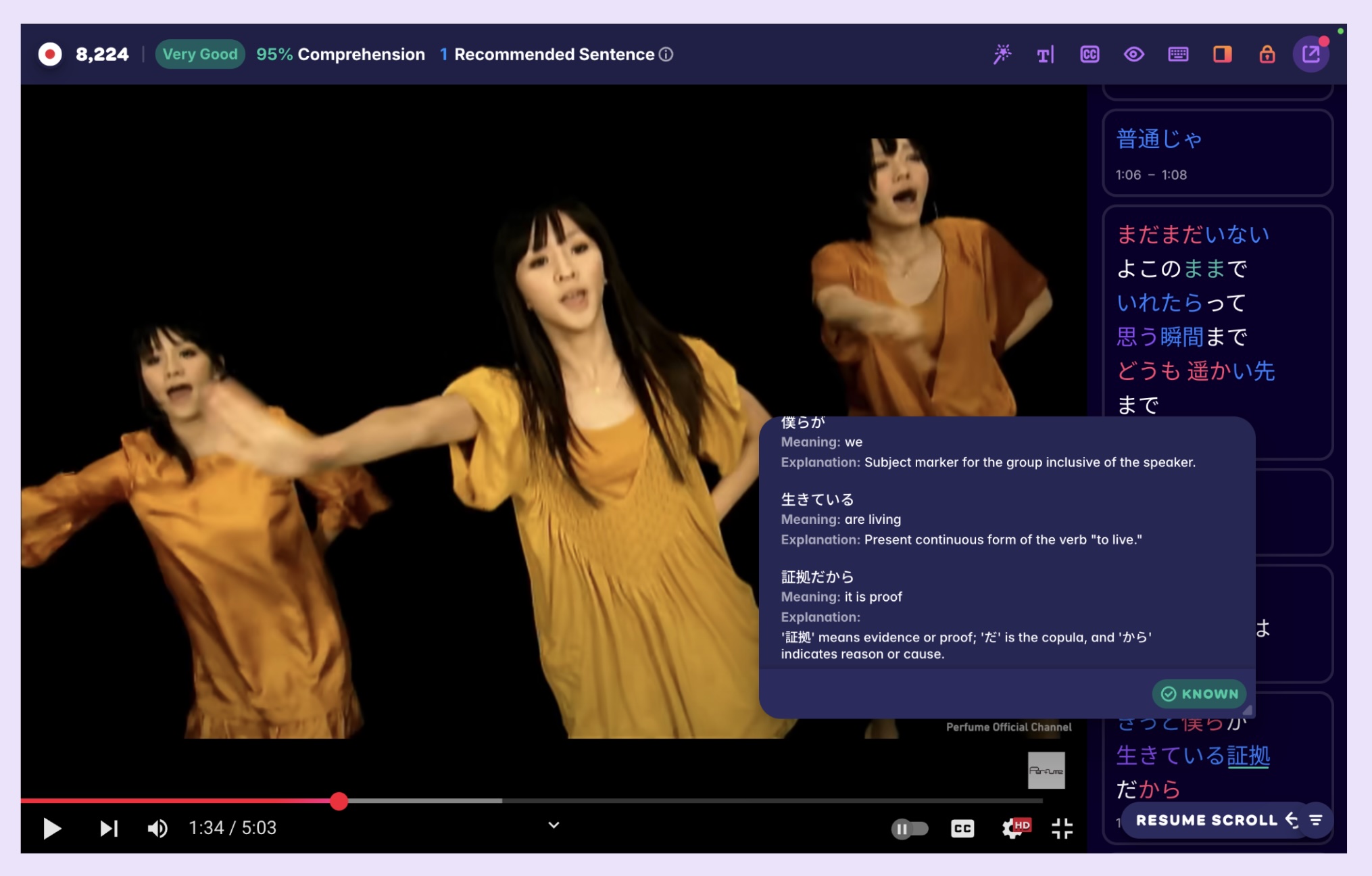 A screenshot from Dream Fighter's video, as enhanced by Migaku
