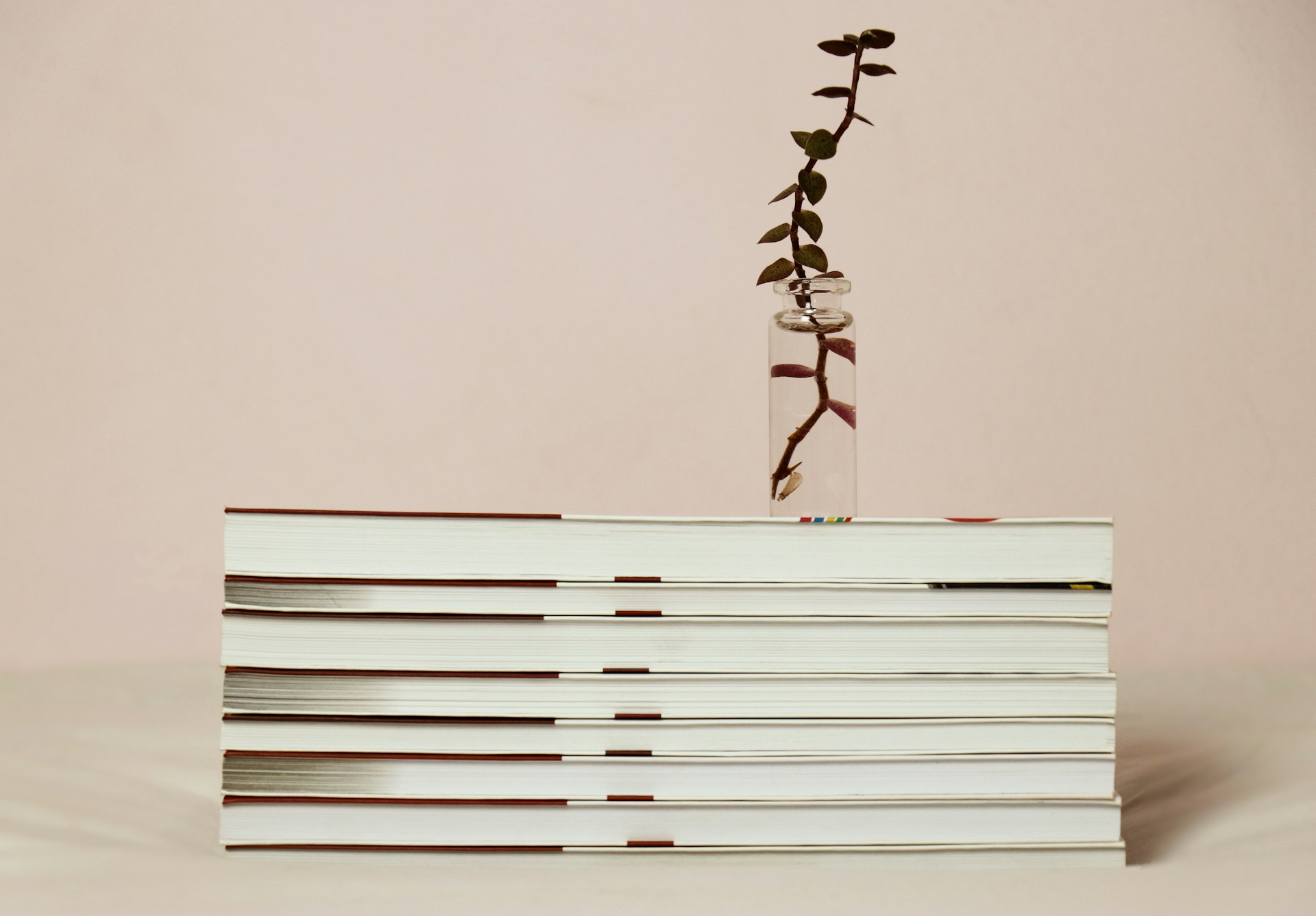 Several textbooks with a plant growing out of them, just like your Japanese level has grown