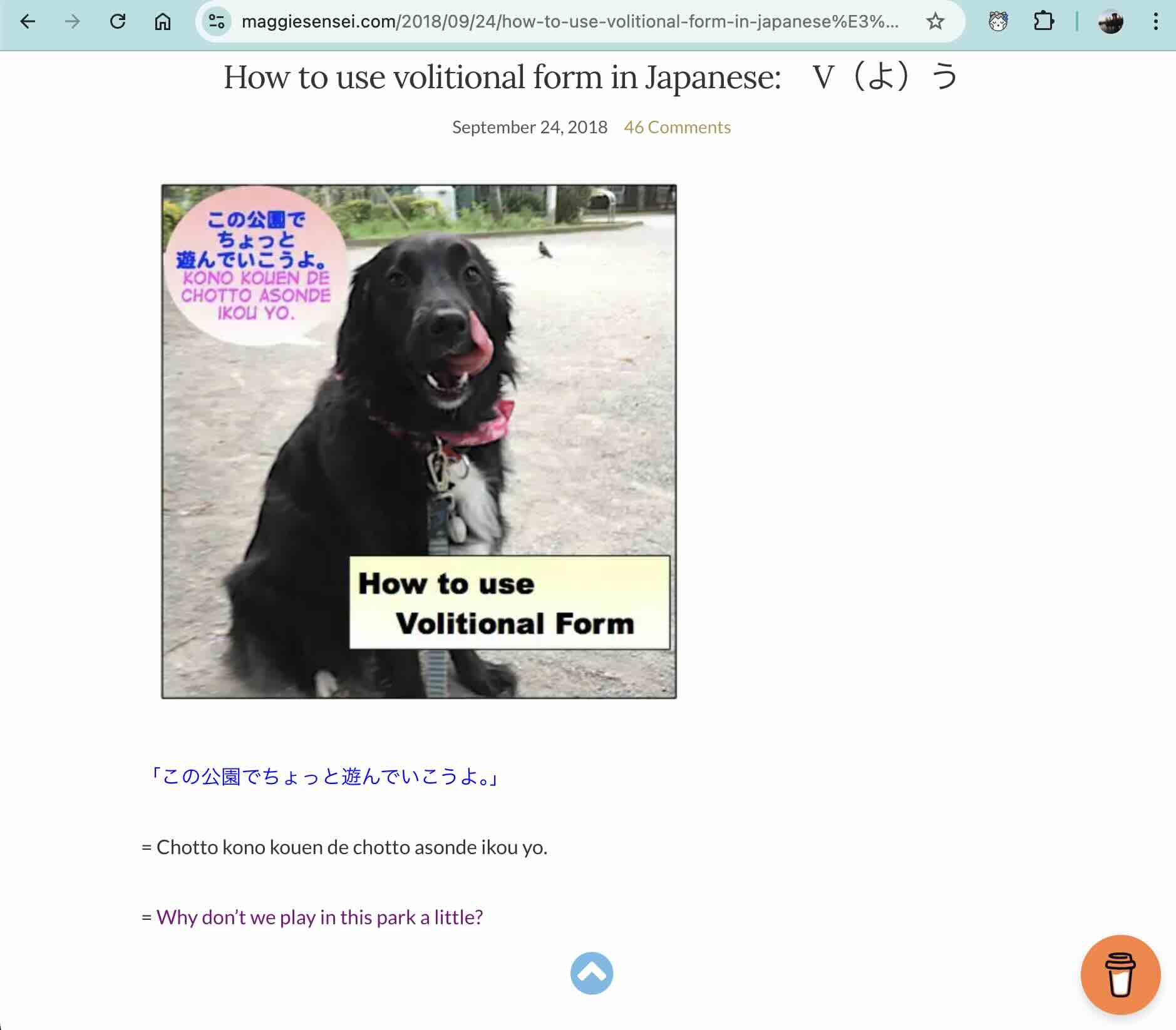 A screenshot of Maggie Sensei's website about Japanese grammar, showing her explanation of the Japanese volitional form