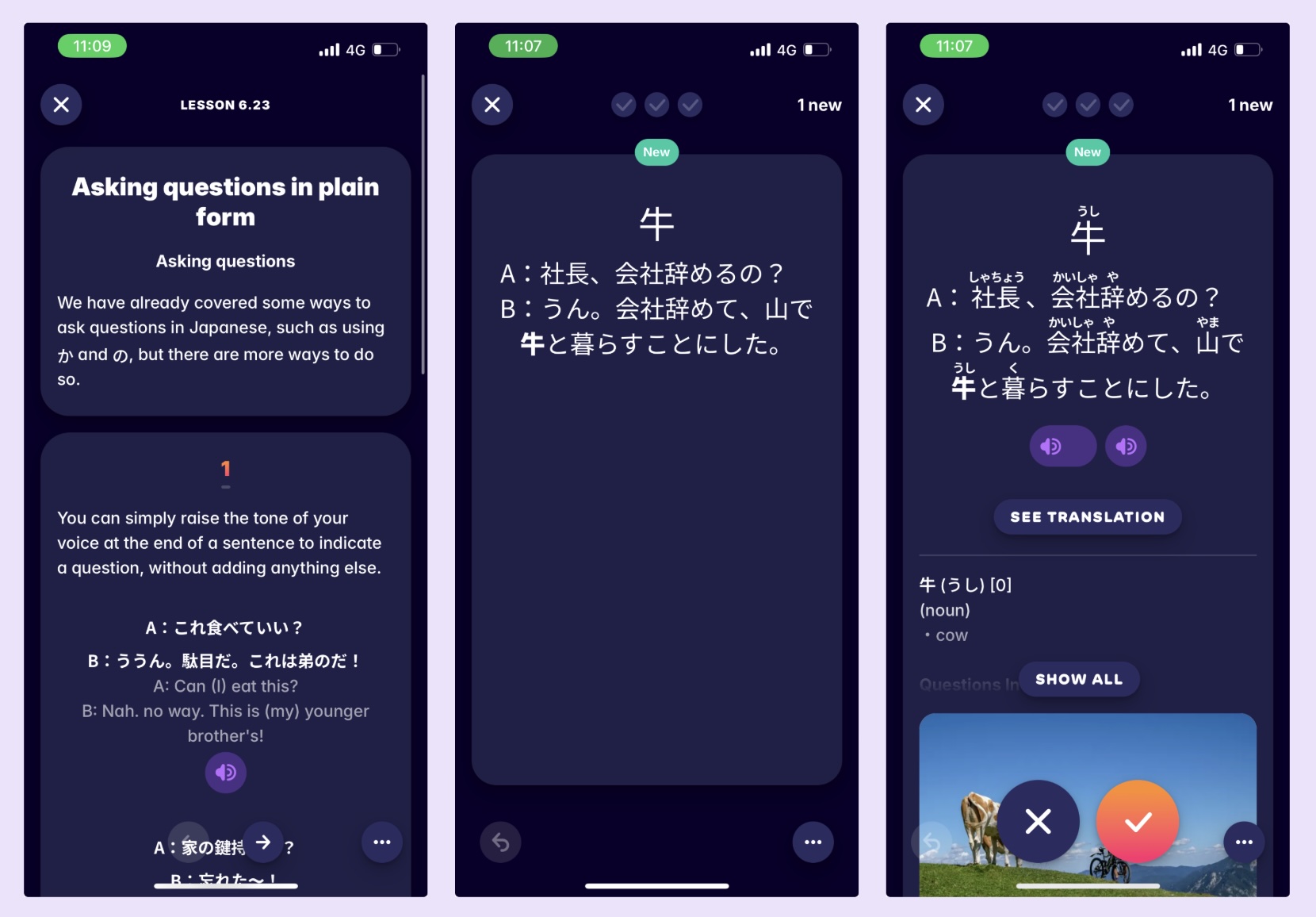 A screenshot from the Migaku Japanese course, showing how we help users learn Japanese words and grammar