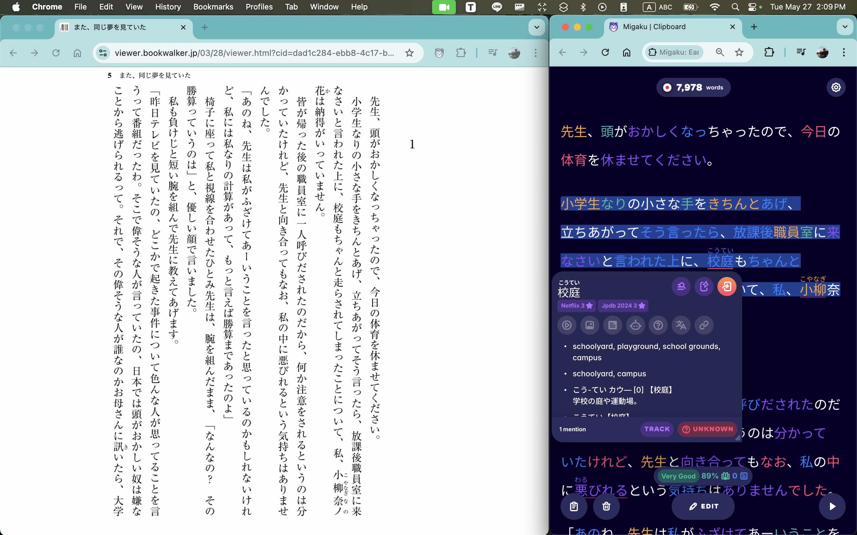 A screenshot showing the process of reading an ebook with Migaku