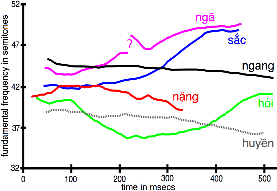 A diagram of a second Hanoi speaker's tones